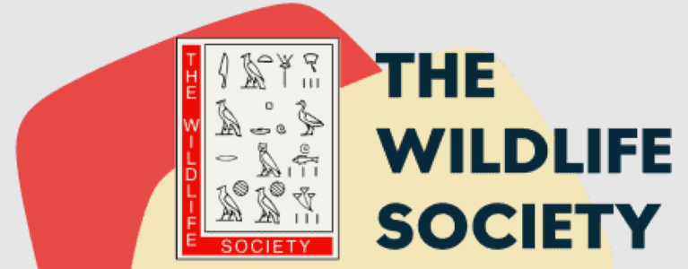 A poster of egyptian symbols and the words " the wild society ".