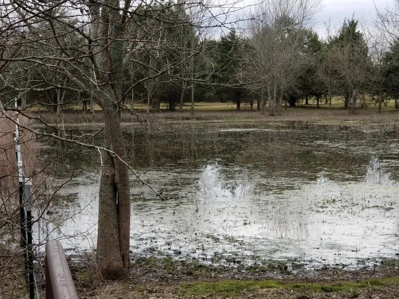 A flooded field with trees in the background.